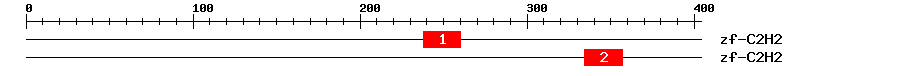 Signature Domain
