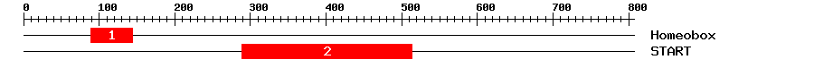 Signature Domain