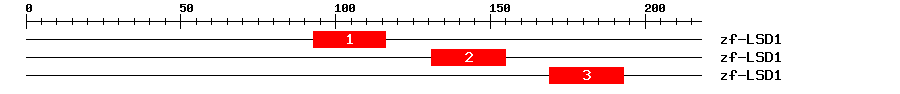 Signature Domain