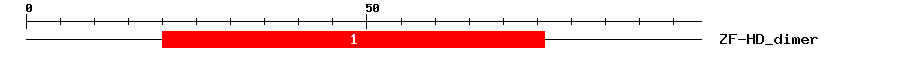 Signature Domain