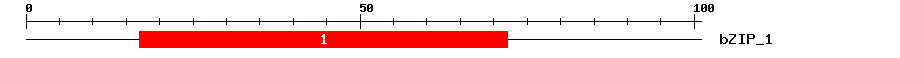 Signature Domain