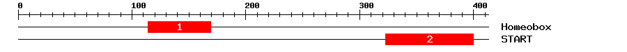 Signature Domain