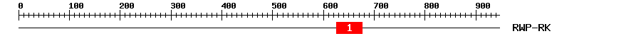 Signature Domain
