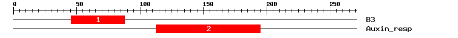 Signature Domain
