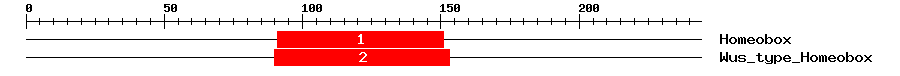 Signature Domain
