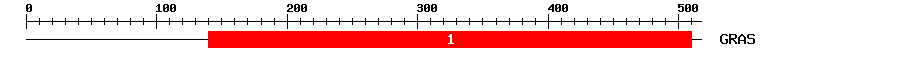Signature Domain