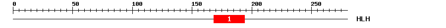 Signature Domain