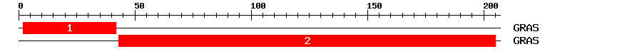 Signature Domain