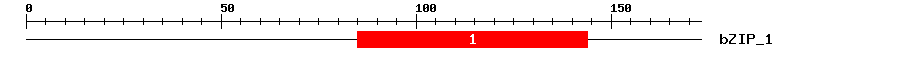 Signature Domain