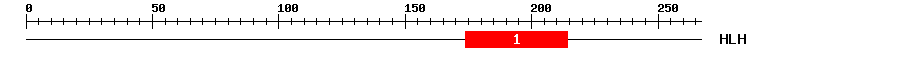 Signature Domain