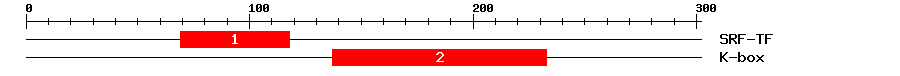 Signature Domain