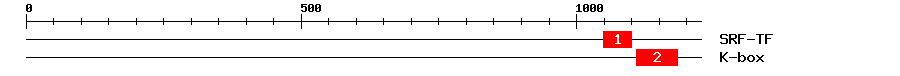 Signature Domain