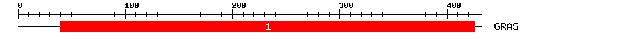 Signature Domain