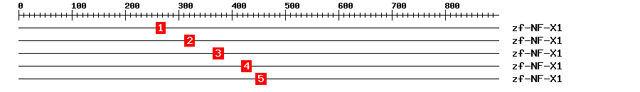 Signature Domain