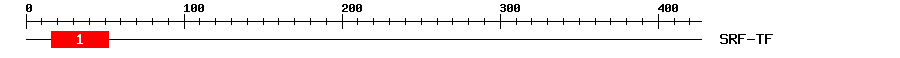 Signature Domain