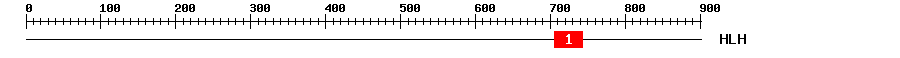 Signature Domain