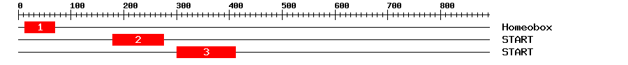 Signature Domain