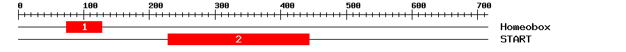 Signature Domain