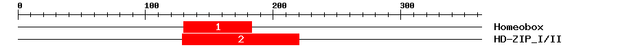 Signature Domain