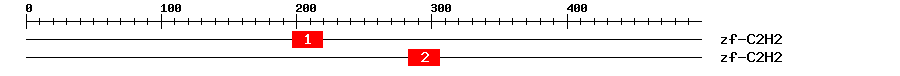 Signature Domain