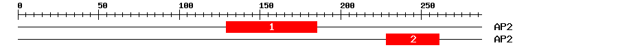 Signature Domain