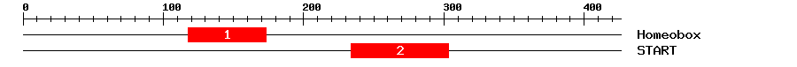 Signature Domain