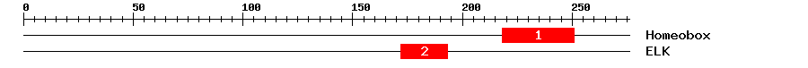 Signature Domain
