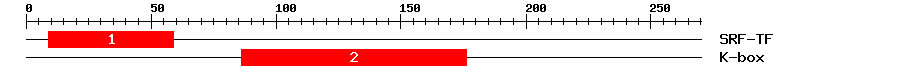 Signature Domain