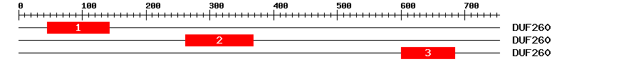 Signature Domain
