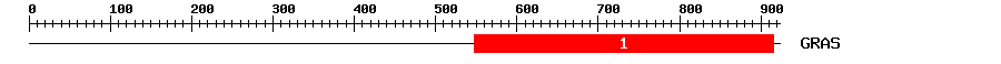 Signature Domain