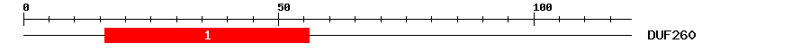 Signature Domain