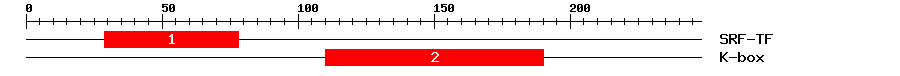 Signature Domain