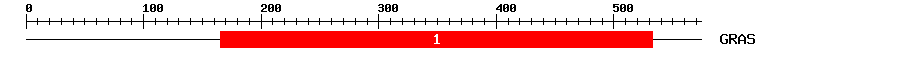 Signature Domain