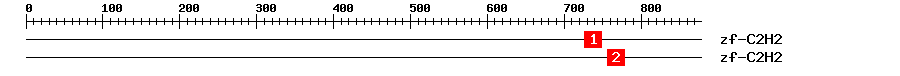 Signature Domain
