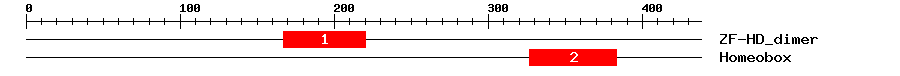 Signature Domain