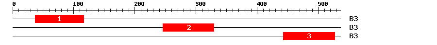 Signature Domain