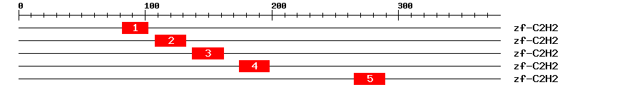 Signature Domain