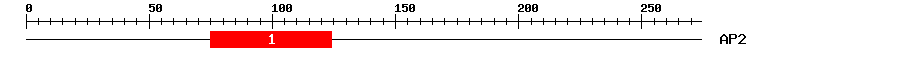 Signature Domain