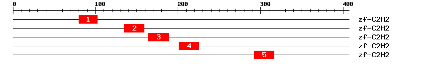 Signature Domain