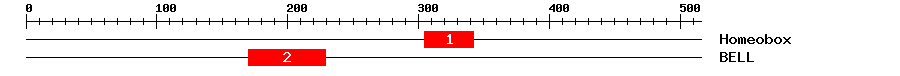 Signature Domain