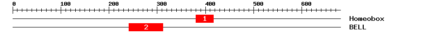 Signature Domain