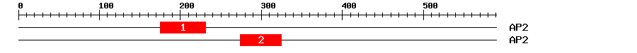 Signature Domain