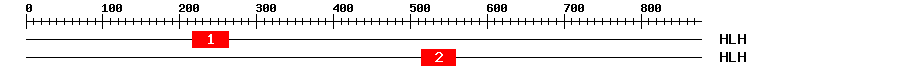 Signature Domain