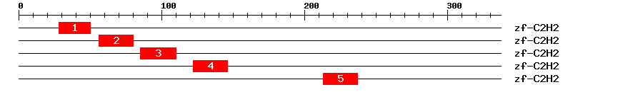 Signature Domain