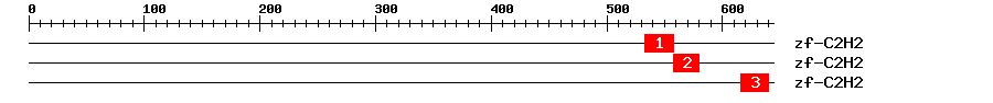 Signature Domain
