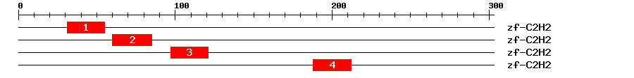 Signature Domain