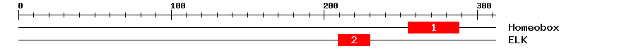Signature Domain