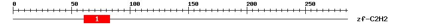 Signature Domain