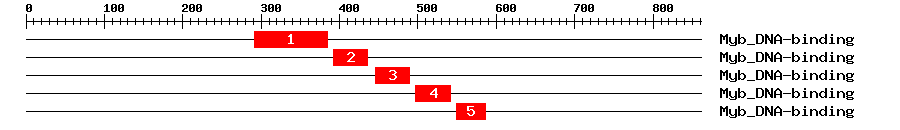 Signature Domain