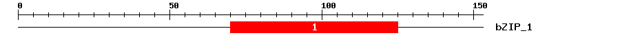 Signature Domain
